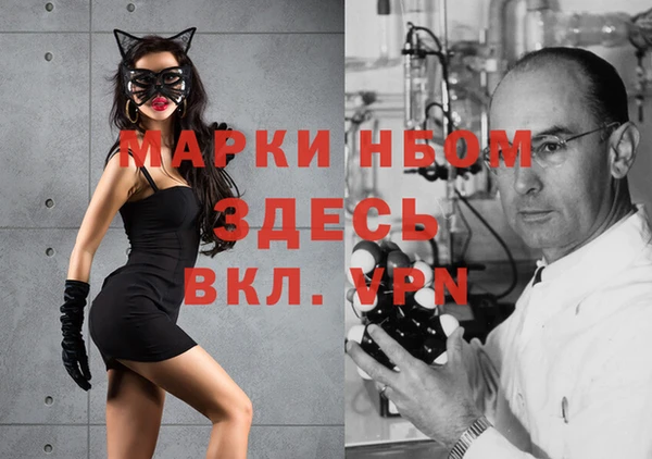 гашиш Богданович
